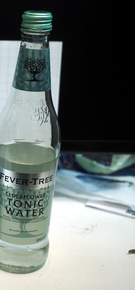 Schweppes Tonic Water